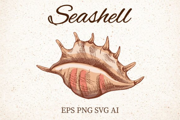 Vintage Seashell Clipart Illustration: A Versatile Graphic for Coastal Content